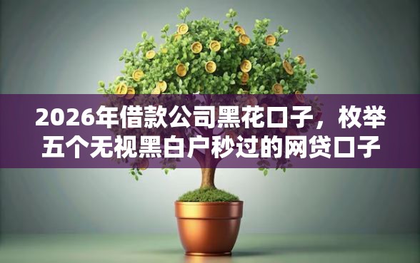 2026年借款公司黑花口子，枚举五个无视黑白户秒过的网贷口子