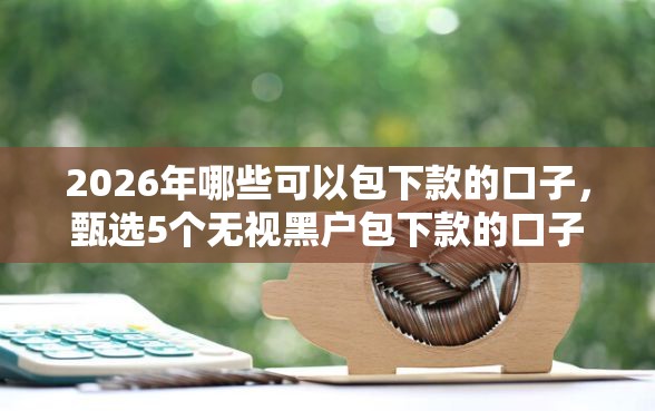 2026年哪些可以包下款的口子，甄选5个无视黑户包下款的口子