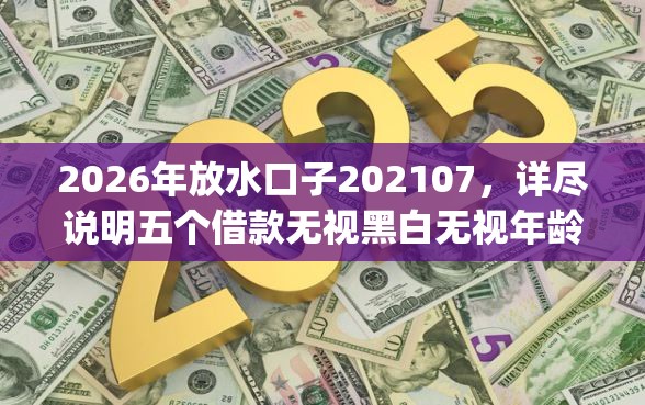 2026年放水口子202107，详尽说明五个借款无视黑白无视年龄100%秒过app