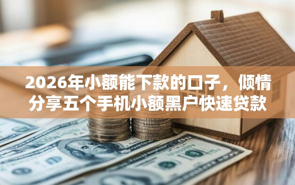 2026年小额能下款的口子，倾情分享五个手机小额黑户快速贷款平台