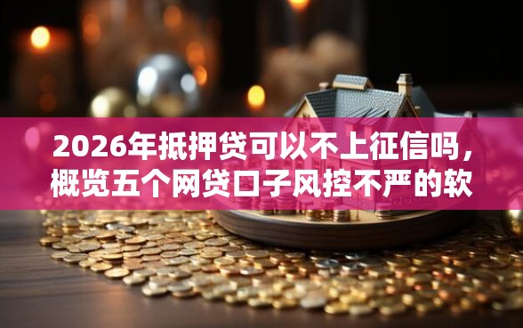 2026年抵押贷可以不上征信吗，概览五个网贷口子风控不严的软件