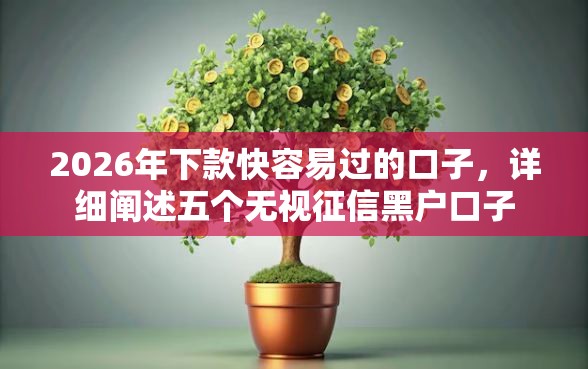 2026年下款快容易过的口子，详细阐述五个无视征信黑户口子