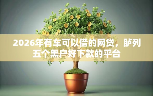 2026年有车可以借的网贷，胪列五个黑户好下款的平台