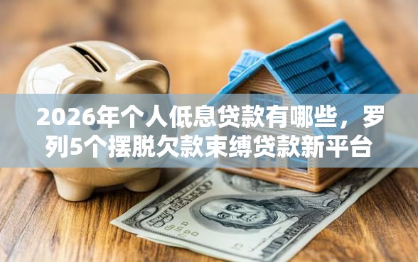 2026年个人低息贷款有哪些，罗列5个摆脱欠款束缚贷款新平台