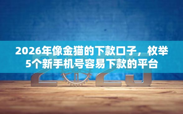 2026年像金猫的下款口子，枚举5个新手机号容易下款的平台