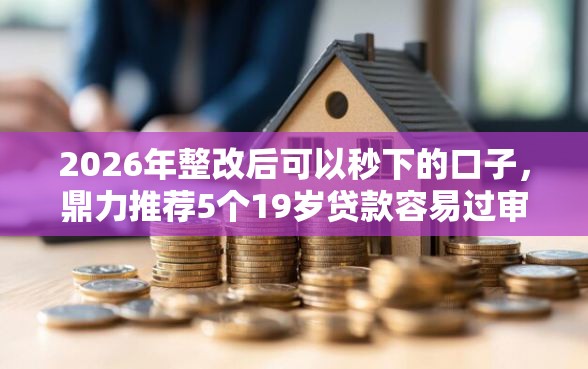 2026年整改后可以秒下的口子，鼎力推荐5个19岁贷款容易过审批的平台