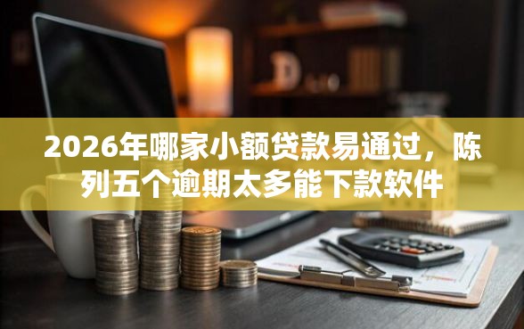 2026年哪家小额贷款易通过，陈列五个逾期太多能下款软件