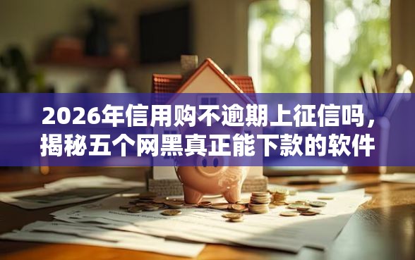 2026年信用购不逾期上征信吗，揭秘五个网黑真正能下款的软件