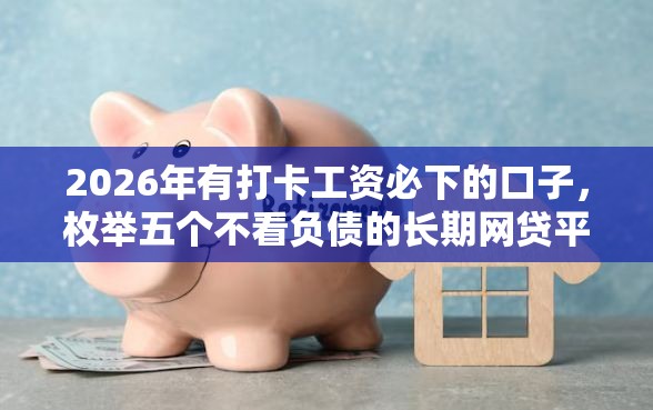 2026年有打卡工资必下的口子，枚举五个不看负债的长期网贷平台