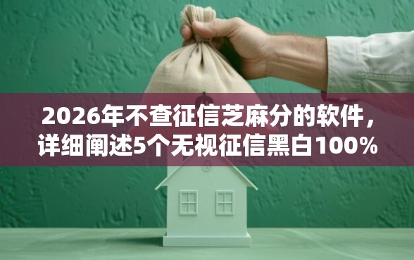 2026年不查征信芝麻分的软件，详细阐述5个无视征信黑白100%秒下网贷口子