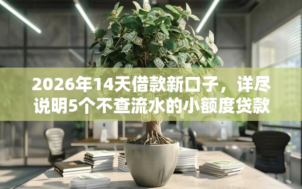 2026年14天借款新口子，详尽说明5个不查流水的小额度贷款平台