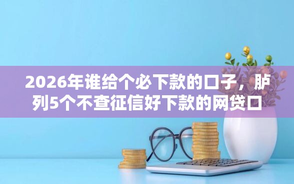 2026年谁给个必下款的口子，胪列5个不查征信好下款的网贷口子