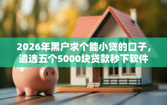 2026年黑户求个能小贷的口子，遴选五个5000块贷款秒下软件