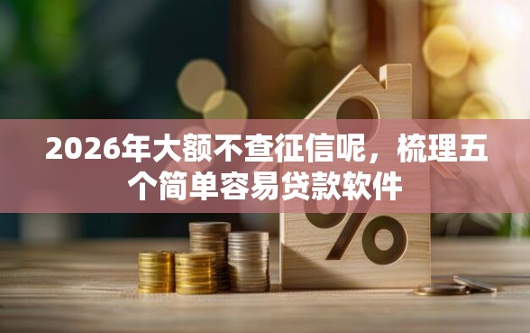 2026年大额不查征信呢，梳理五个简单容易贷款软件