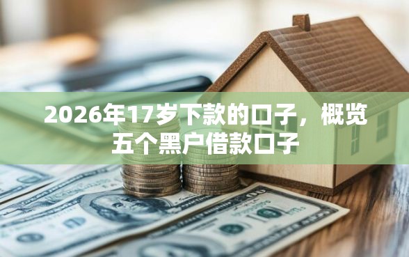 2026年17岁下款的口子，概览五个黑户借款口子