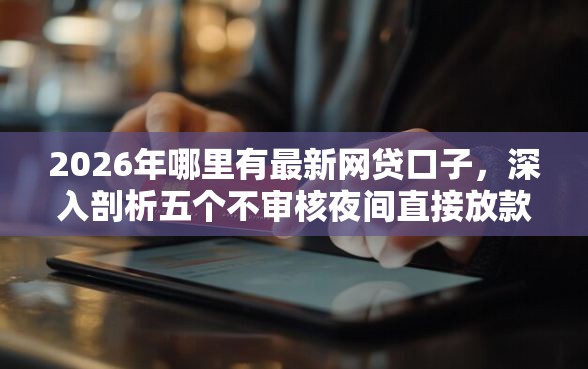 2026年哪里有最新网贷口子，深入剖析五个不审核夜间直接放款的网贷口子