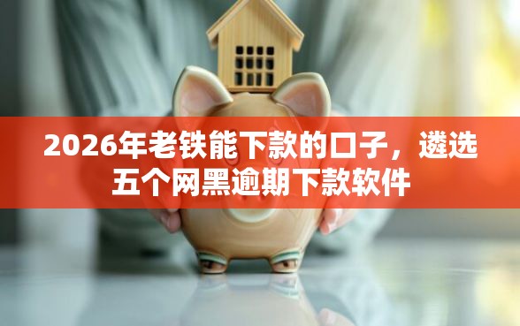2026年老铁能下款的口子，遴选五个网黑逾期下款软件