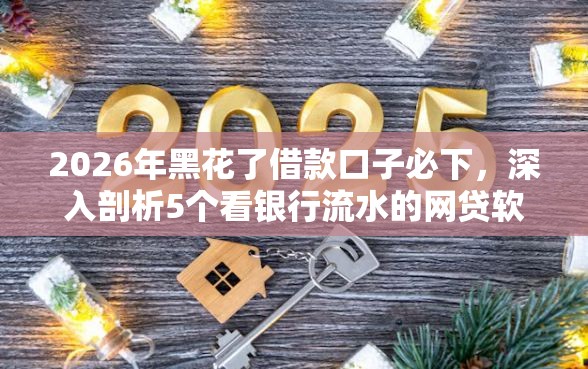 2026年黑花了借款口子必下，深入剖析5个看银行流水的网贷软件