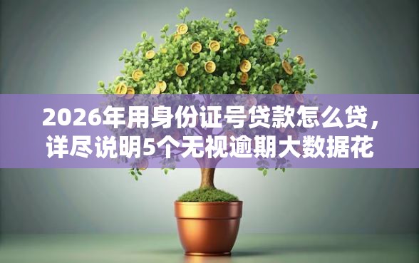 2026年用身份证号贷款怎么贷，详尽说明5个无视逾期大数据花户黑户口子