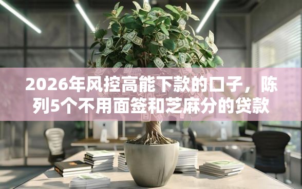 2026年风控高能下款的口子，陈列5个不用面签和芝麻分的贷款平台
