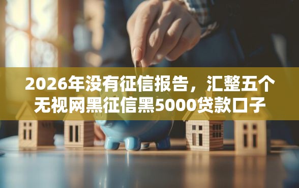 2026年没有征信报告，汇整五个无视网黑征信黑5000贷款口子