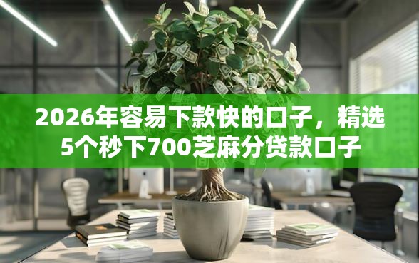 2026年容易下款快的口子，精选5个秒下700芝麻分贷款口子