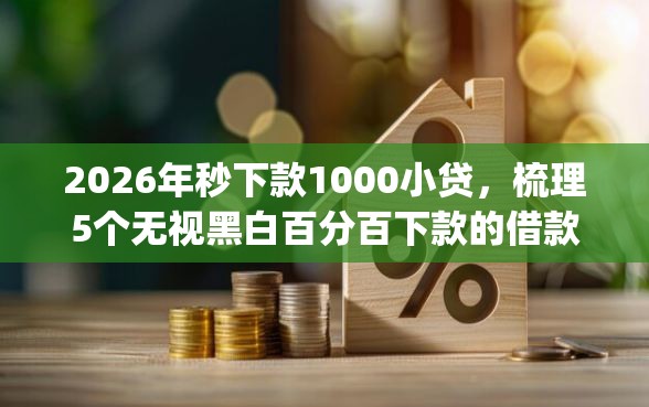 2026年秒下款1000小贷，梳理5个无视黑白百分百下款的借款app