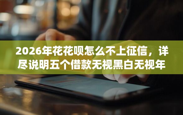 2026年花花呗怎么不上征信，详尽说明五个借款无视黑白无视年龄100%秒过app