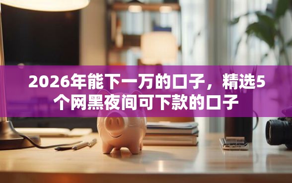 2026年能下一万的口子，精选5个网黑夜间可下款的口子