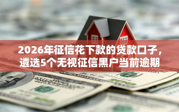 2026年征信花下款的贷款口子，遴选5个无视征信黑户当前逾期必下款的口子