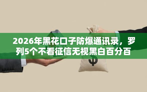 2026年黑花口子防爆通讯录，罗列5个不看征信无视黑白百分百下款平台