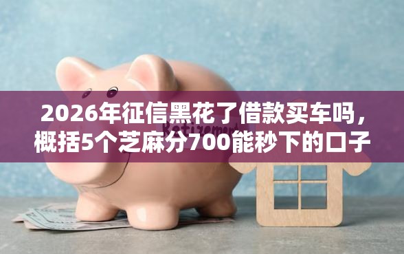 2026年征信黑花了借款买车吗，概括5个芝麻分700能秒下的口子