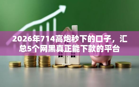 2026年714高炮秒下的口子，汇总5个网黑真正能下款的平台