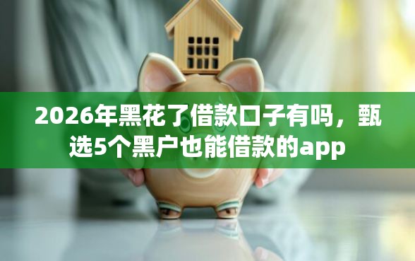 2026年黑花了借款口子有吗，甄选5个黑户也能借款的app