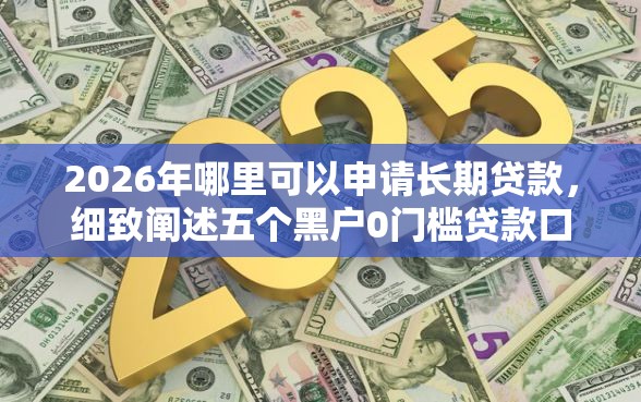 2026年哪里可以申请长期贷款，细致阐述五个黑户0门槛贷款口子