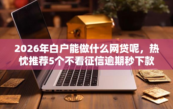 2026年白户能做什么网贷呢，热忱推荐5个不看征信逾期秒下款的贷款
