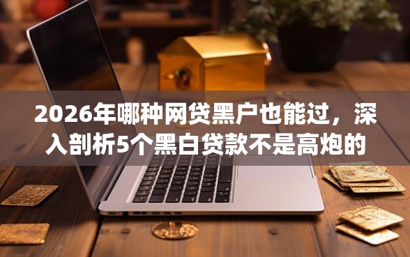 2026年哪种网贷黑户也能过，深入剖析5个黑白贷款不是高炮的app