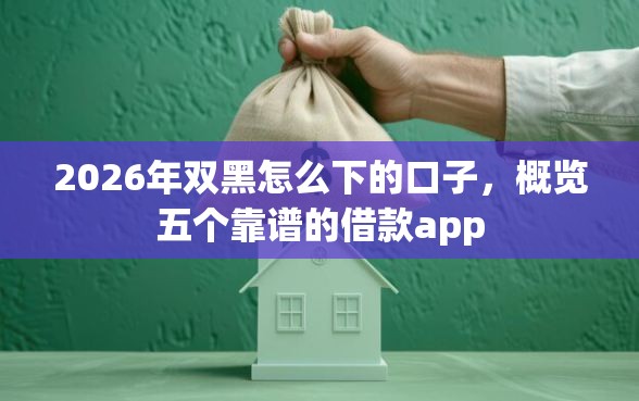 2026年双黑怎么下的口子，概览五个靠谱的借款app