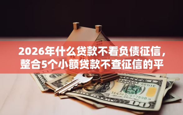 2026年什么贷款不看负债征信，整合5个小额贷款不查征信的平台