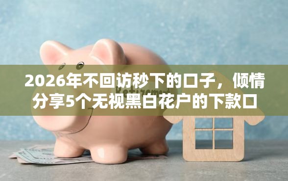 2026年不回访秒下的口子，倾情分享5个无视黑白花户的下款口子