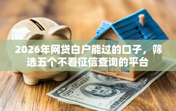 2026年网贷白户能过的口子，筛选五个不看征信查询的平台