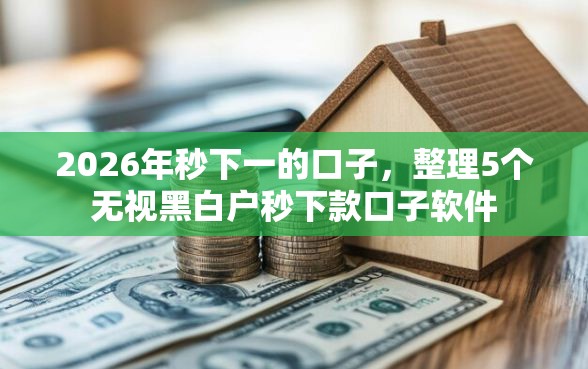 2026年秒下一的口子，整理5个无视黑白户秒下款口子软件