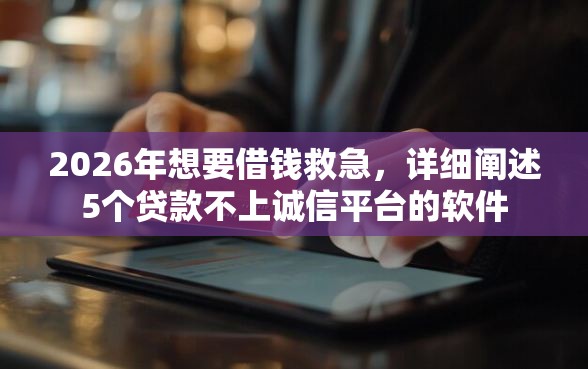 2026年想要借钱救急，详细阐述5个贷款不上诚信平台的软件