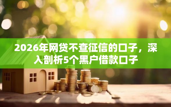2026年网贷不查征信的口子，深入剖析5个黑户借款口子