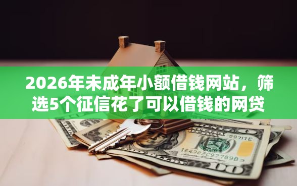 2026年未成年小额借钱网站,筛选5个征信花了可以借钱的网贷软件 2026年未成年小额借钱网站,筛选5个征信花了可以借钱的网贷软件