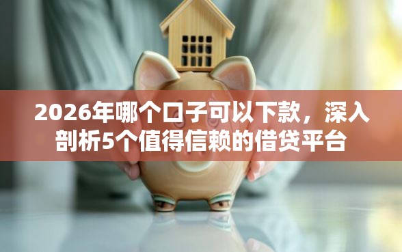 2026年哪个口子可以下款，深入剖析5个值得信赖的借贷平台