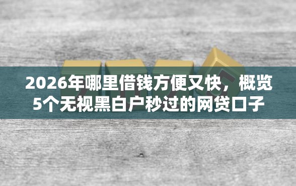 2026年哪里借钱方便又快，概览5个无视黑白户秒过的网贷口子