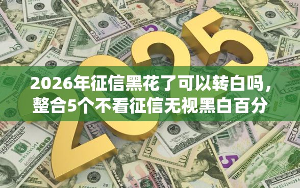 2026年征信黑花了可以转白吗，整合5个不看征信无视黑白百分百下款app