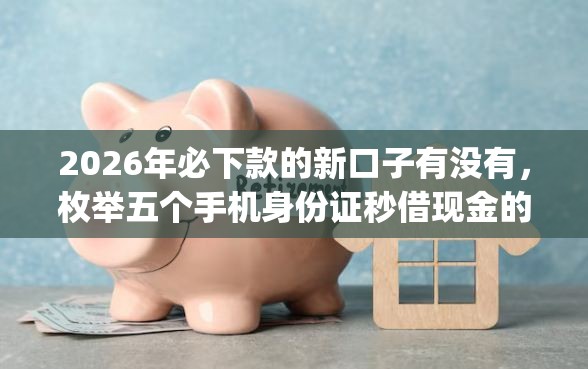 2026年必下款的新口子有没有，枚举五个手机身份证秒借现金的app
