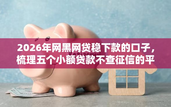 2026年网黑网贷稳下款的口子，梳理五个小额贷款不查征信的平台